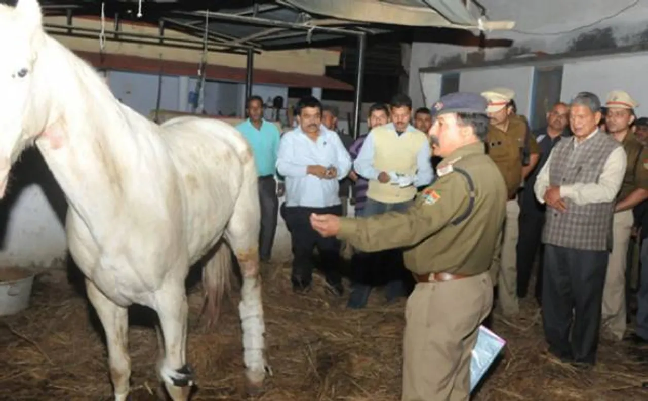 Uttarakhand Police horse Shaktimaan, injured during BJP protest, dies