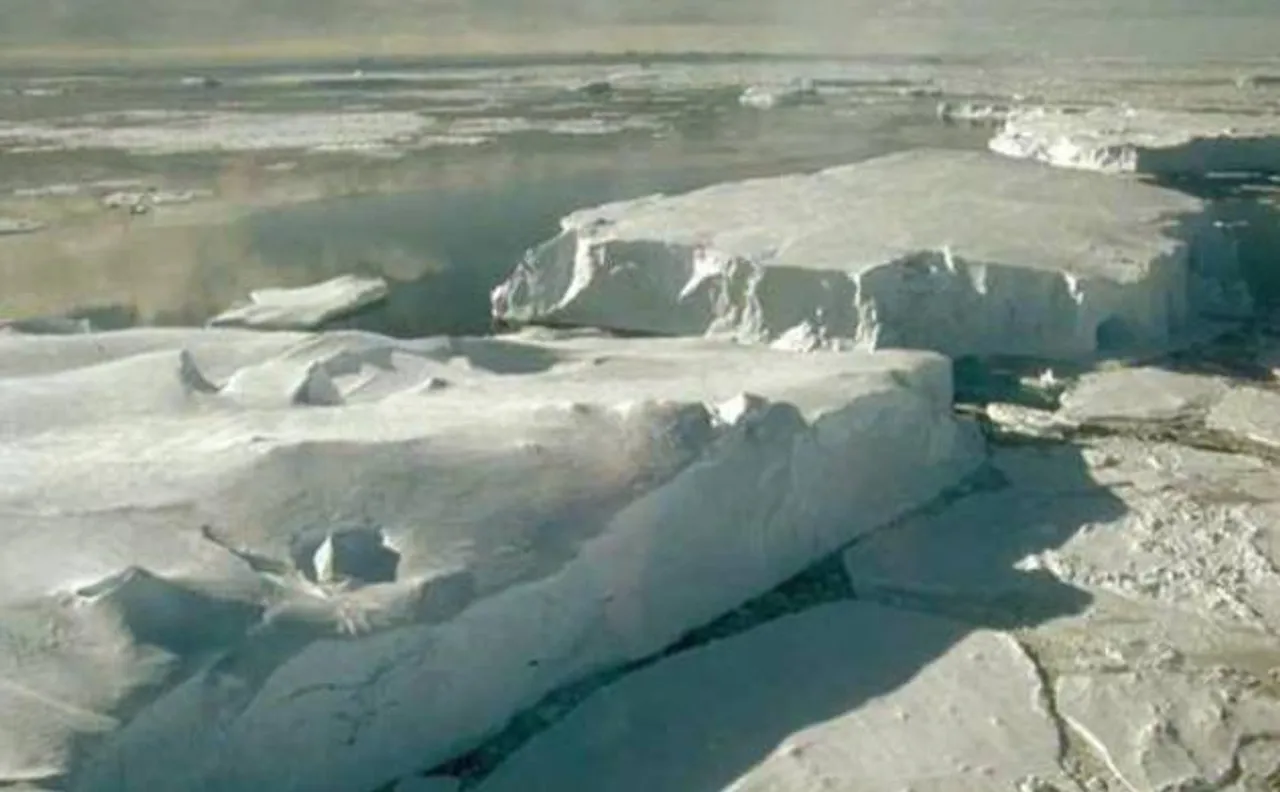 Sea ice cover in Arctic Ocean may shrink to record low of 2012, warn scientists