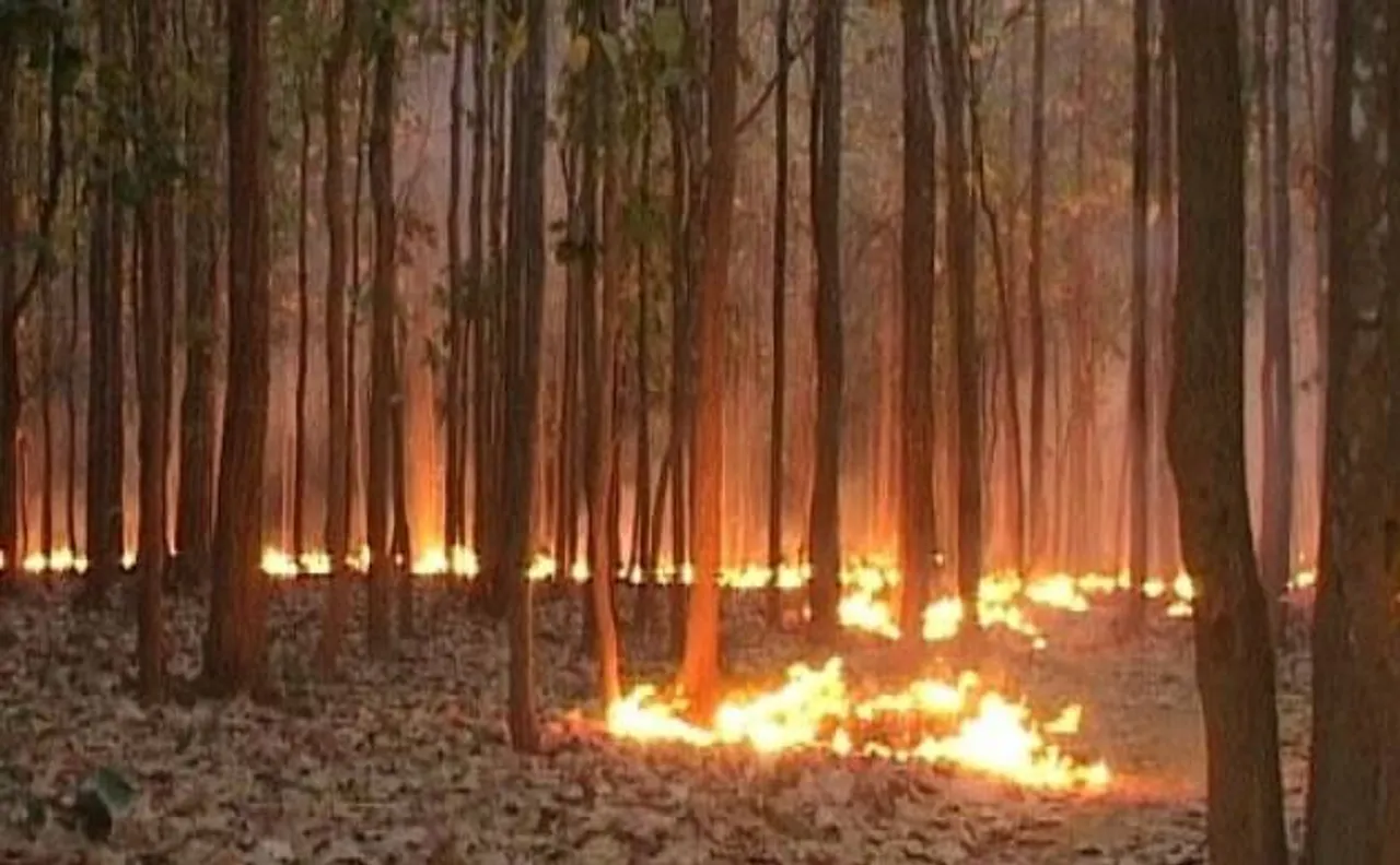 Fire breaks out in forested area behind Rajghat