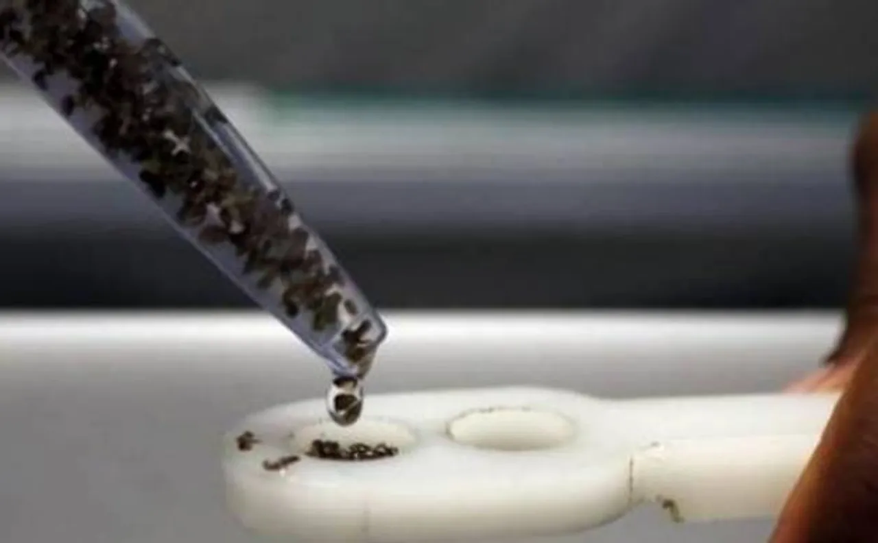 Disease experts to compare Zika notes in Paris 
