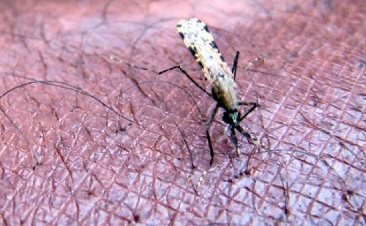 World Malaria Day 2016:These six countries of Africa could be free of the disease by 2020 says WHO report