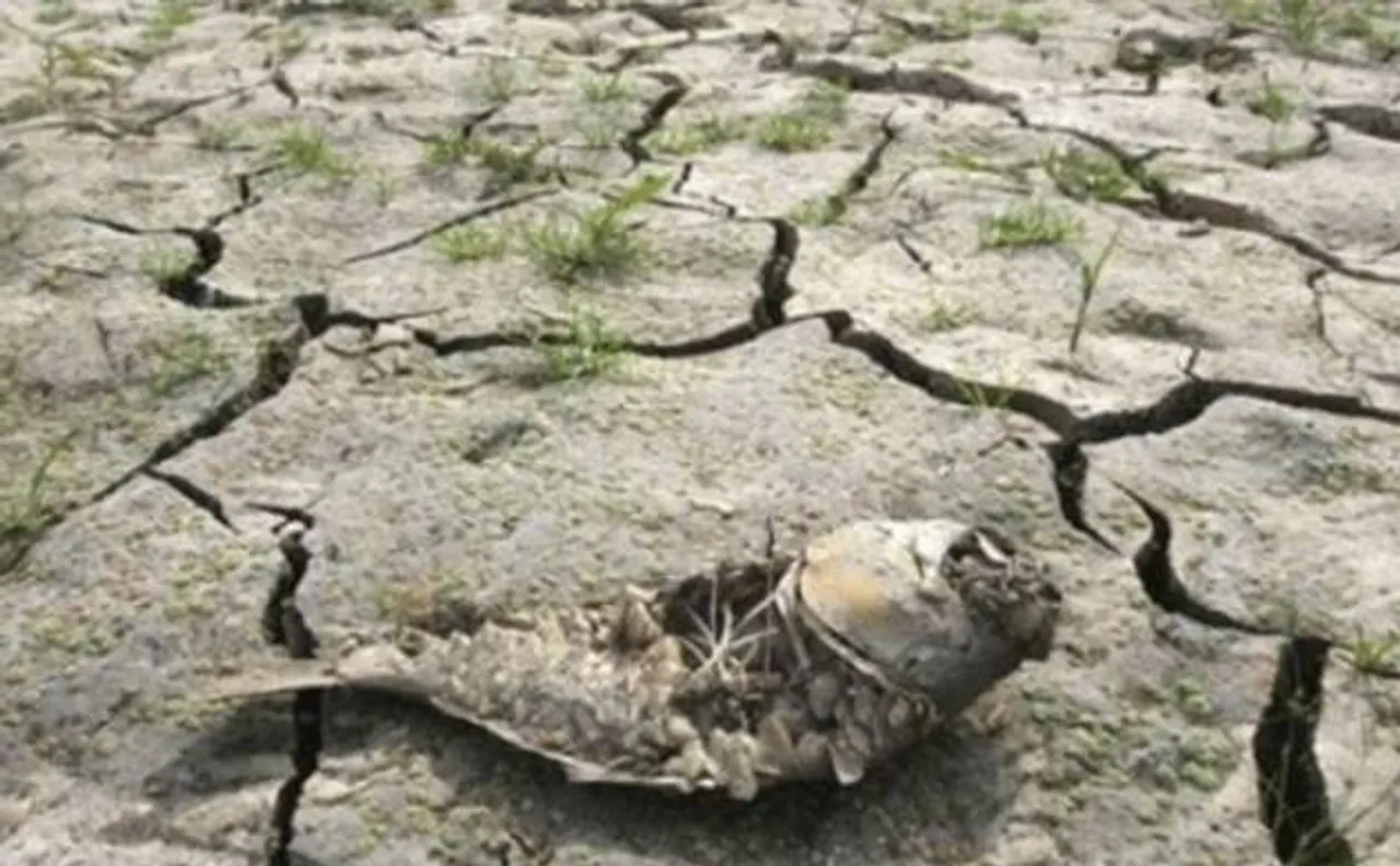 No dearth of funds to tackle drought in Andhra Pradesh: Minister