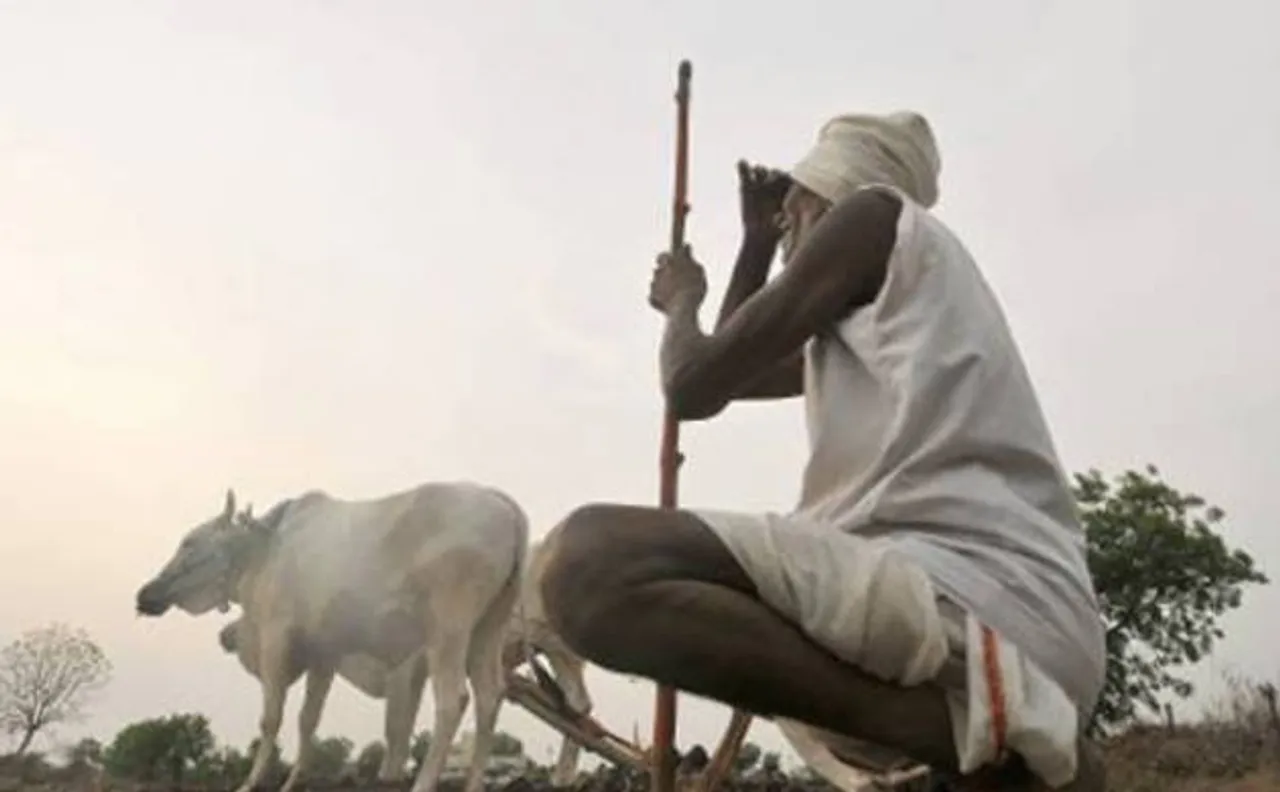 Maharashtra govt to pay Rs 1272 crore interest on crop loan to drought-hit farmers