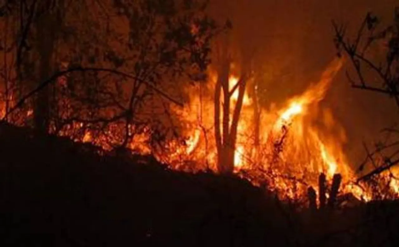 Forest fire claims 5 lives; NDRF forces deployed to control