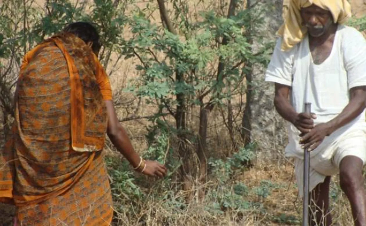 Swaraj Abhiyan, CSE demands use of MGNREGA funds for water conservation