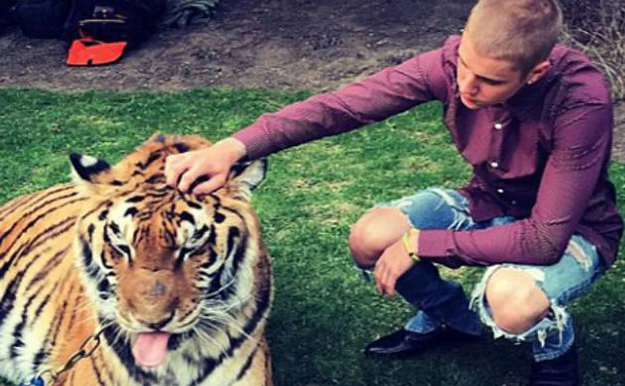 Justin Bieber celebrates father's engagement party with Bengal tiger