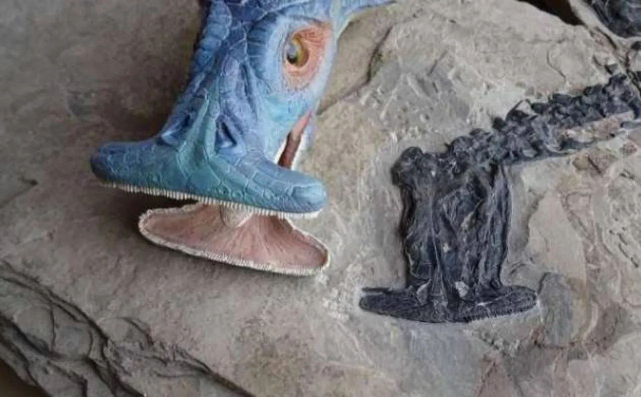World's first herbivorous marine reptile found