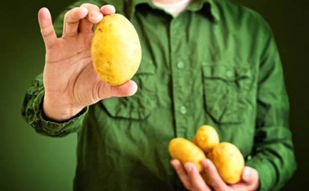 Frequent potato consumption may put you at high risk of hypertension