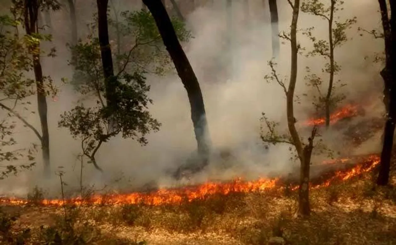 Fresh forest fires in Uttarakhand; 180 hectares of green cover gutted