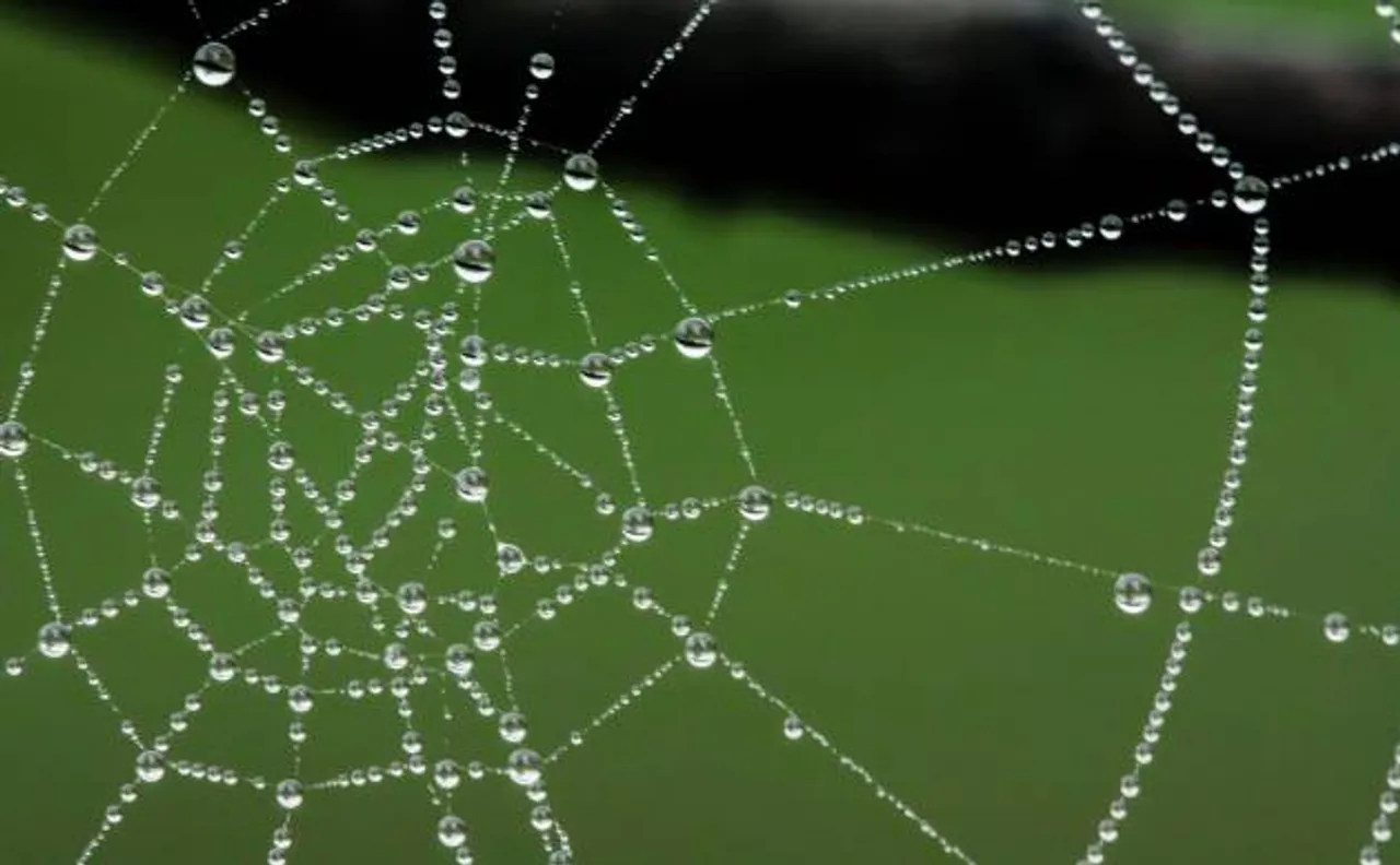 Researchers develop New 'liquid wire' that acts like spider silk