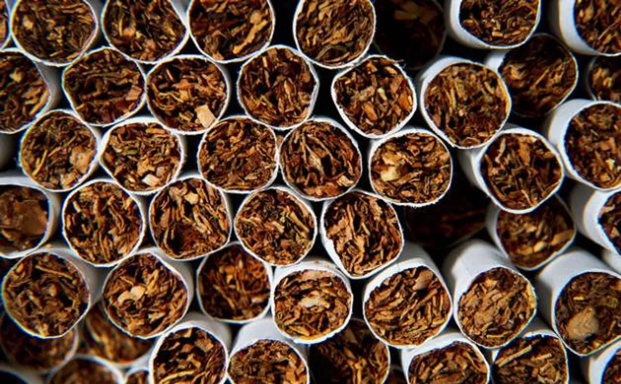 Tobacco accounts for 30 per cent of all cancers in males and females in India: Study