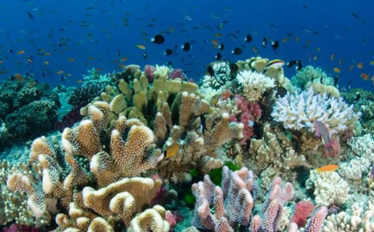 One trillion species of microbial present on earth, new study claims