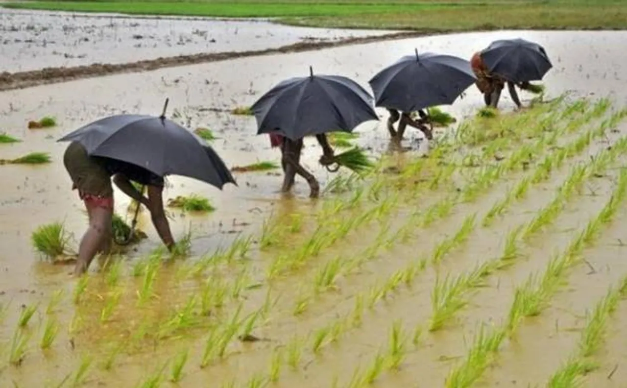 Normal monsoons can boost farm income by 20% in FY17: Report