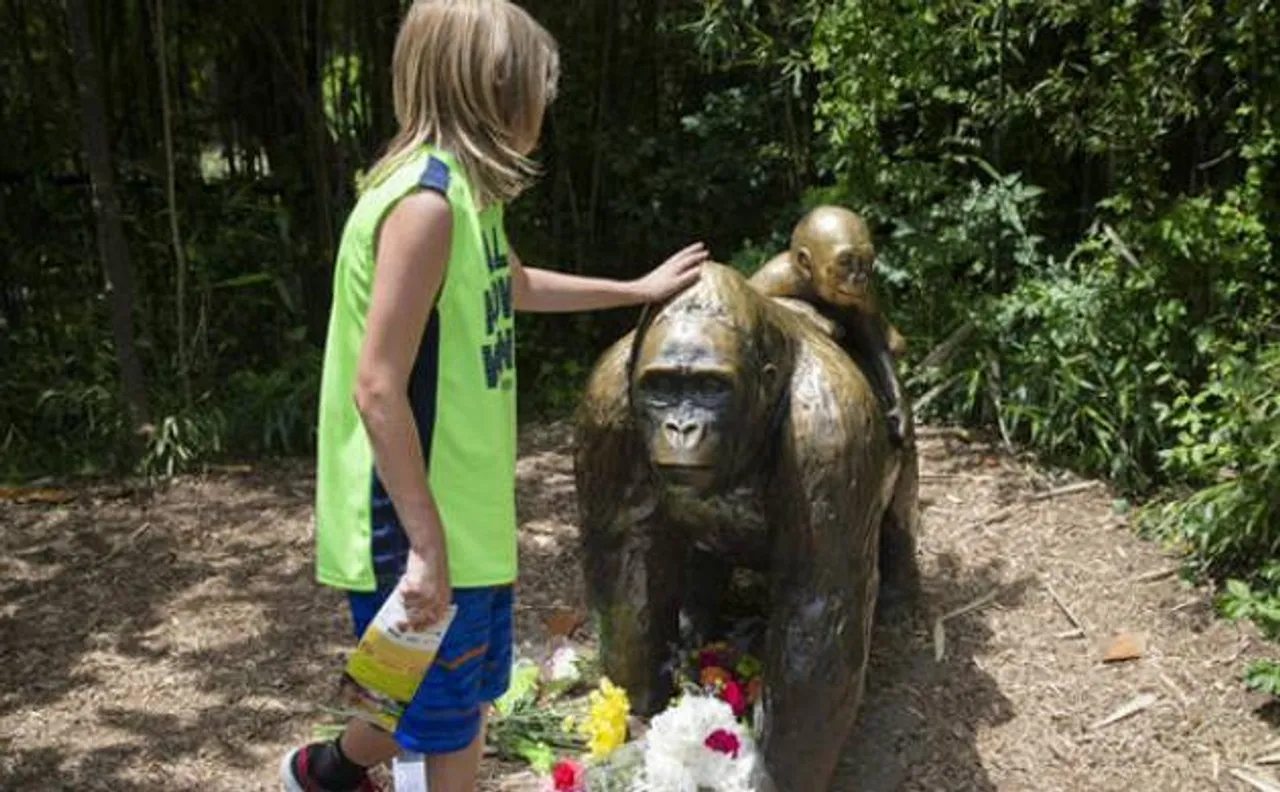 Vigil planned at Cincinnati Zoo in tribute to slain gorilla