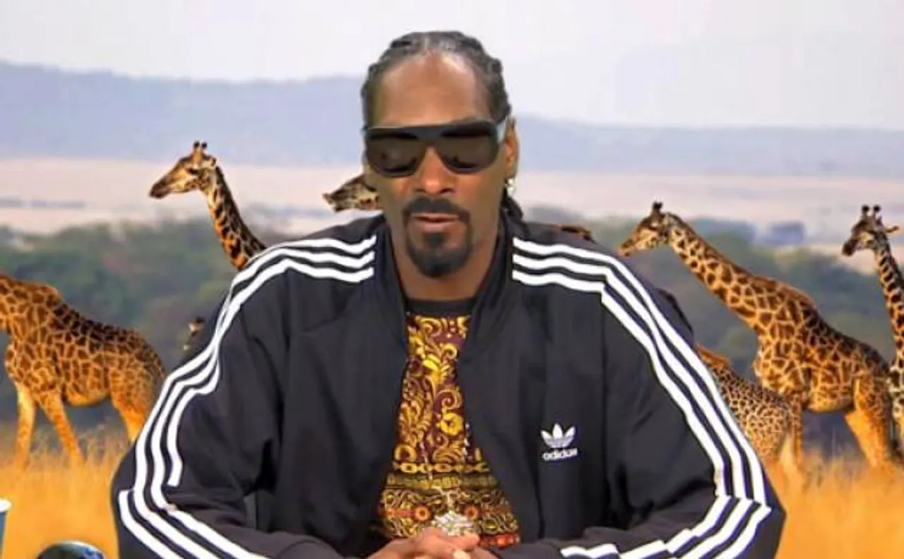Snoop Dogg hits out at 'Roots' TV remake