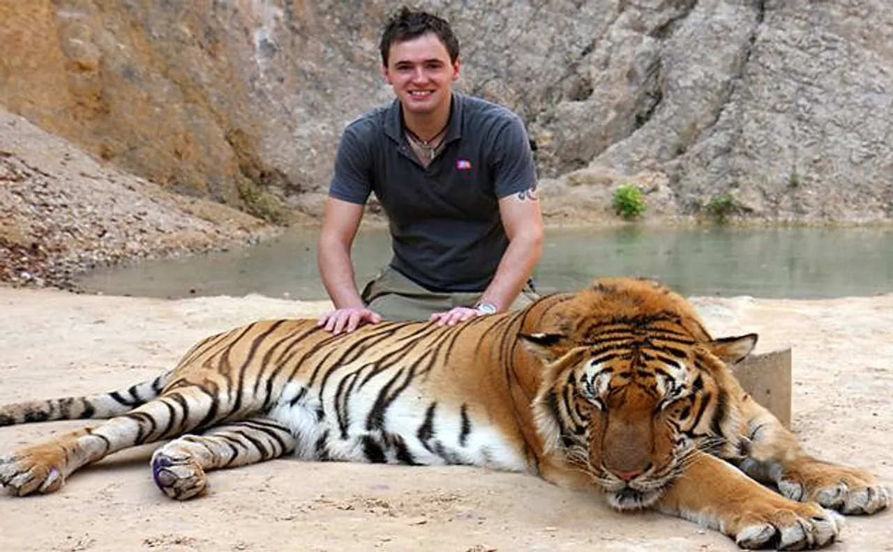 The controversial Tiger Temple in Thailand: All you need to know