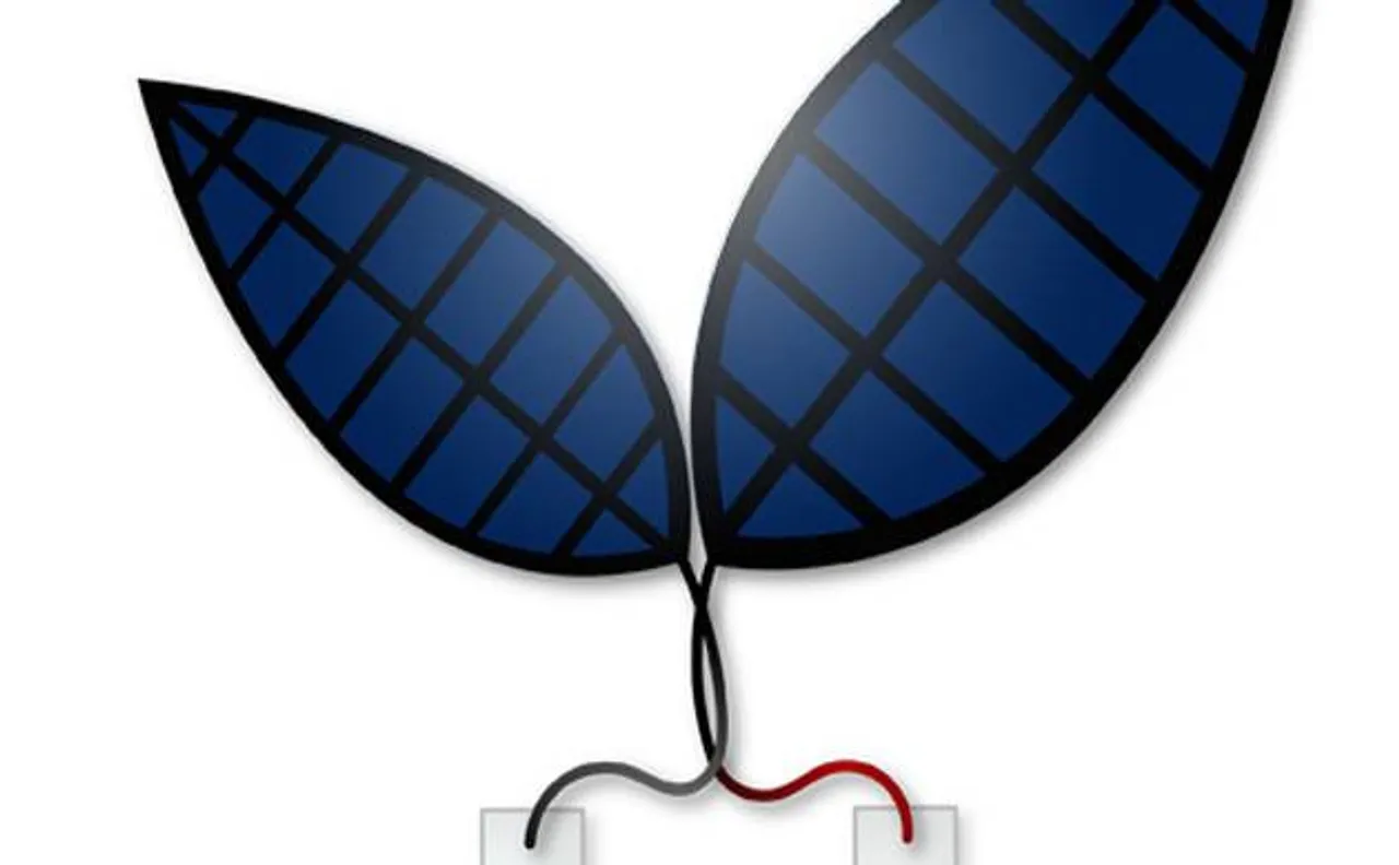 New bionic leaf turns sunlight into liquid fuel, say scientists