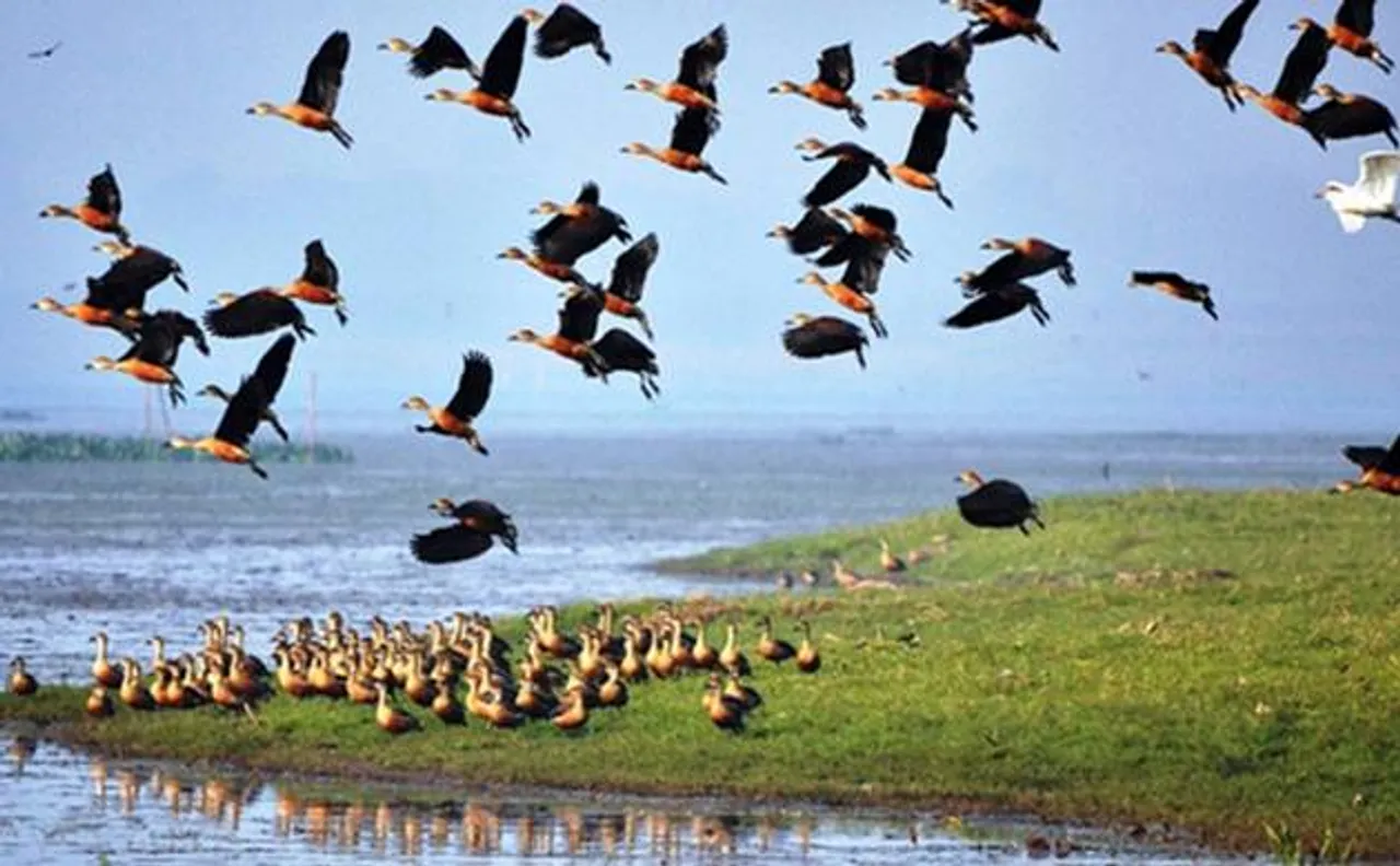Draft Wetland Rules 2016: Assam wetlands may lose protection, environmentalists worried