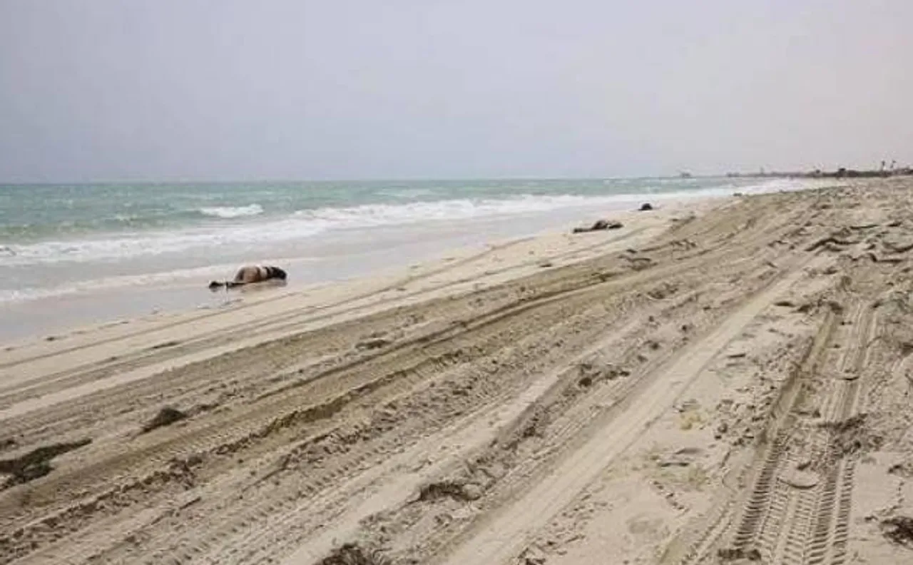 Human misfortune! 117 bodies found off Libyan coast as boat sinks