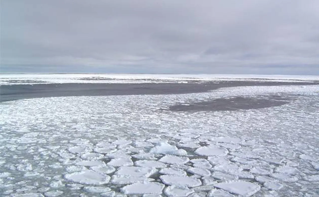 Arctic may become ice-free for first time in 100,000 years , claims scientist