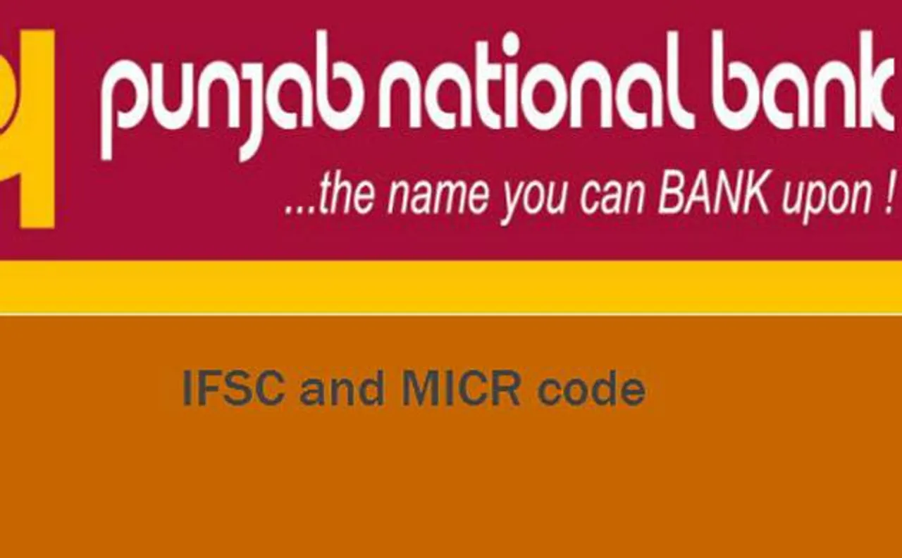 913 wilful defaulters owe Rs 11,486 crore to PNB