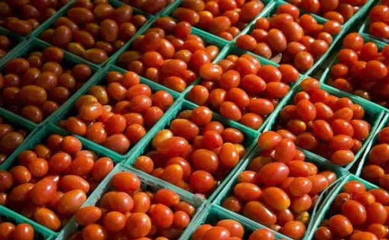 Tomato prices to remain Rs 80-100 per kg for next two months