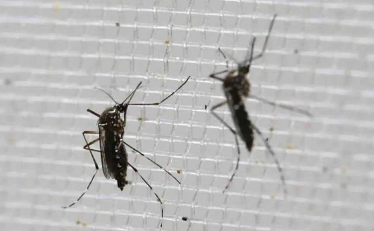 Scientists develop portable, cost-effective Zika virus symptom detection kit