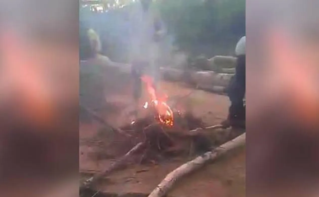 Hyderabad boys burn 3 puppies alive, post video on Facebook