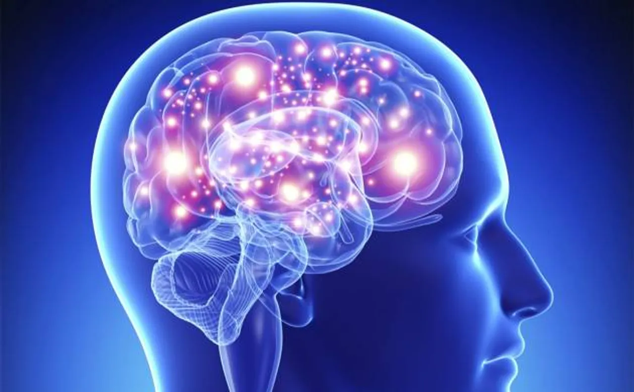Larger brains prone to mental disorders: Study