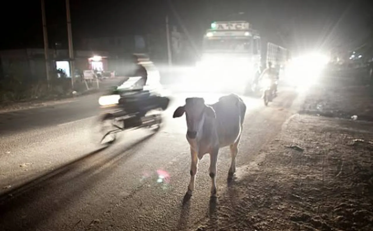 Una episode: Dalit victims not involved in cow slaughter, says Gujarat CID