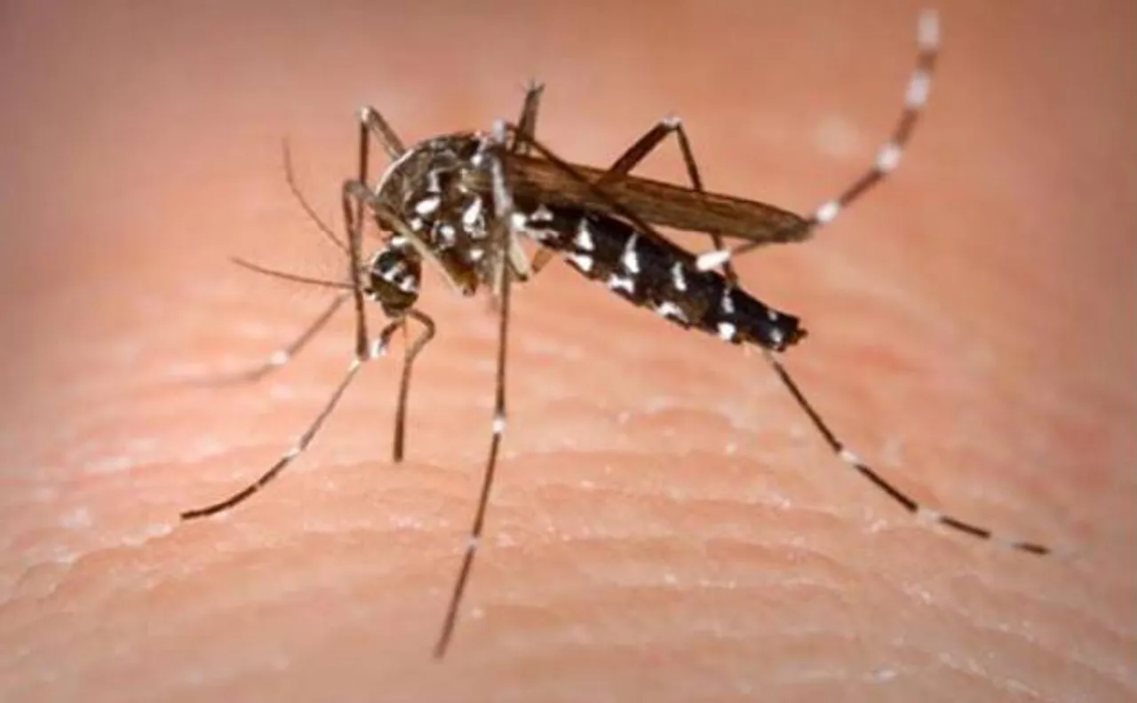 West Bengal: One dead, 152 new dengue cases