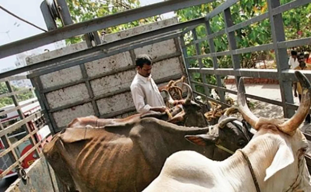 Gau Raksha Dal chief Satish Kumar booked after PM Modiâ€™s remarks