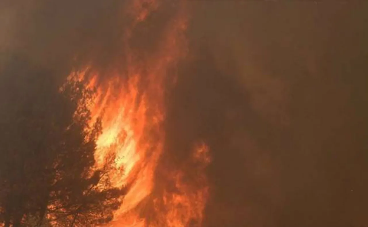 Southern France battles bush fires as 1,000 evacuated