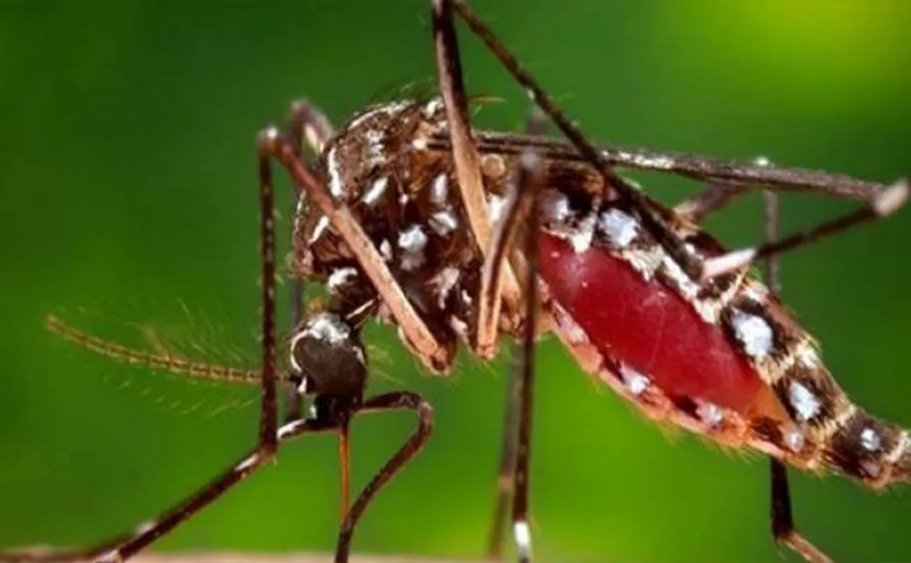 US declares health emergency in Puerto Rico due to Zika