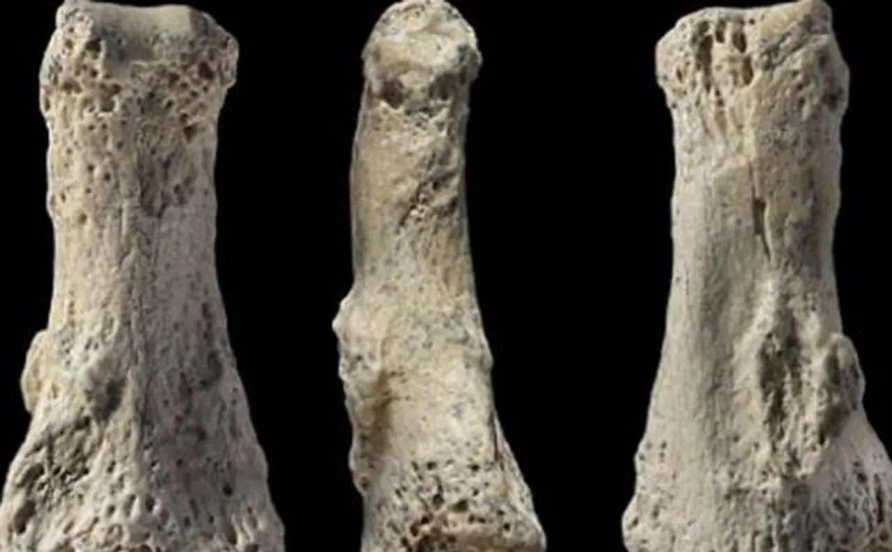 90,000-year-old human bone discovered in Saudi Arabia