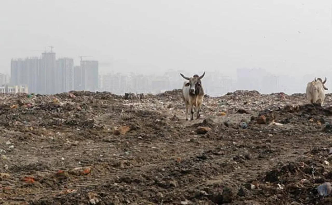  Solid waste from Ghazipur site to help make national highway