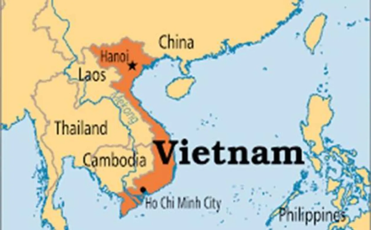 Vietnamese woman cuts off limbs for insurance payout