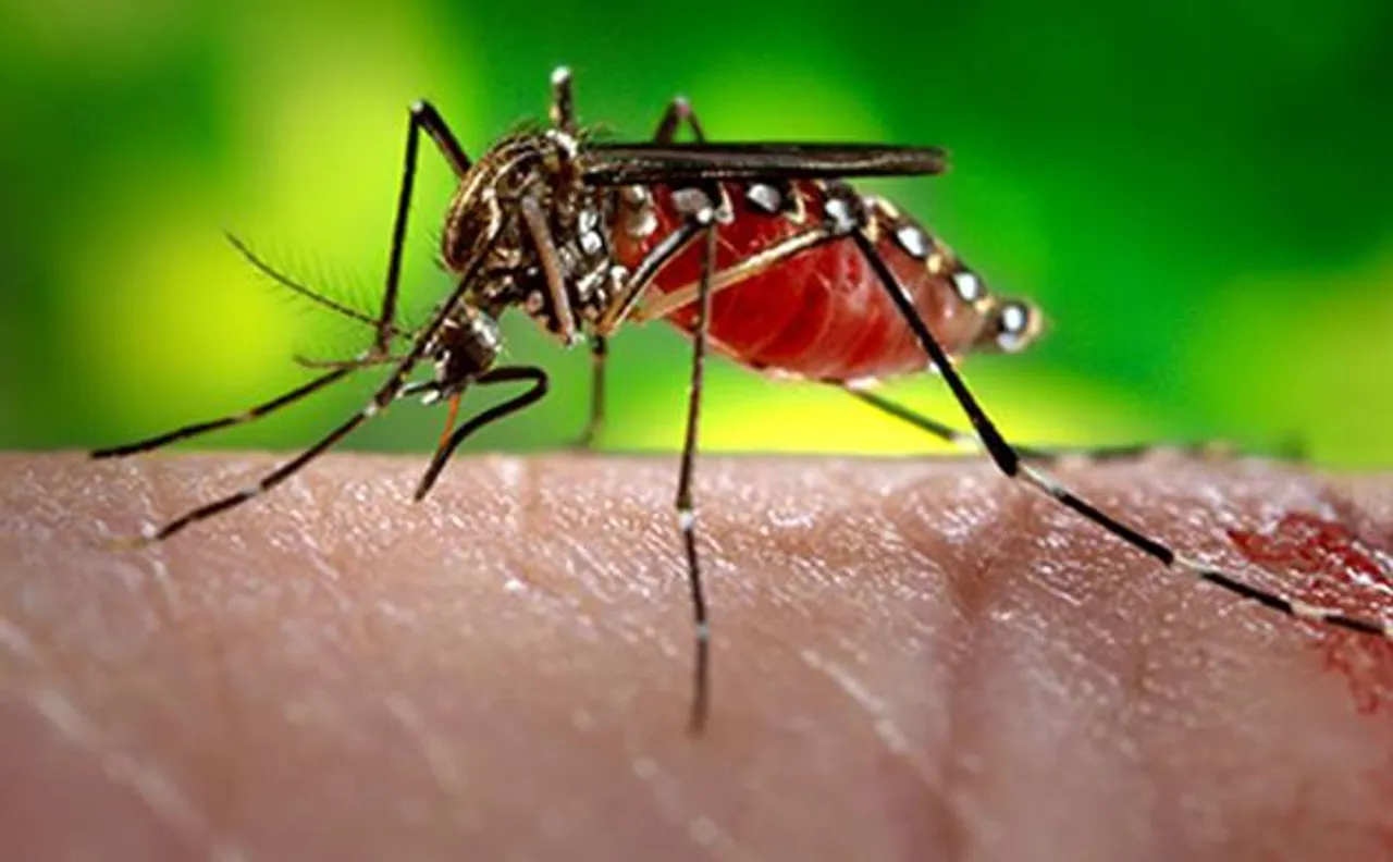 13 Indians in Singapore test positive for Zika, reports Indian Embassy in Singapore