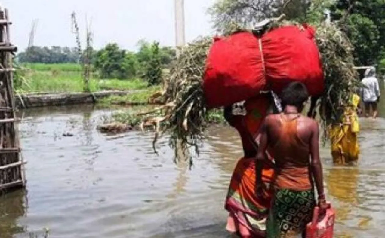 Bihar floods toll rises 222; moderate rains in parts of north India 