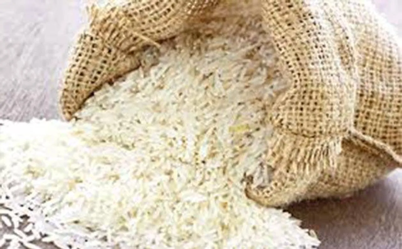 US finds worldâ€™s most destructive insect in rice from Pakistan