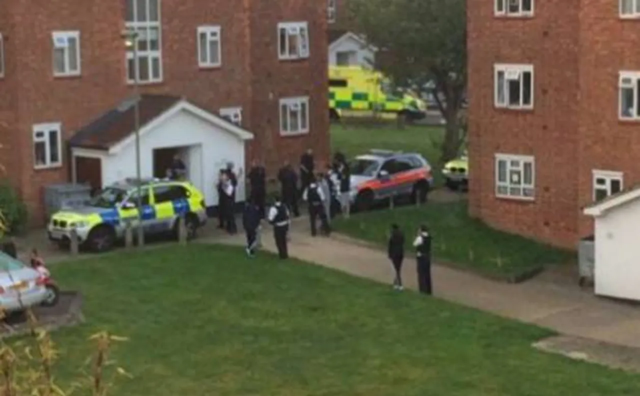 Two killed in doubling shooting in north London
