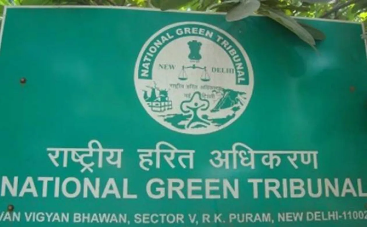 NGT slams civic bodies for not taking any strong measure to control chikungunya and dengue