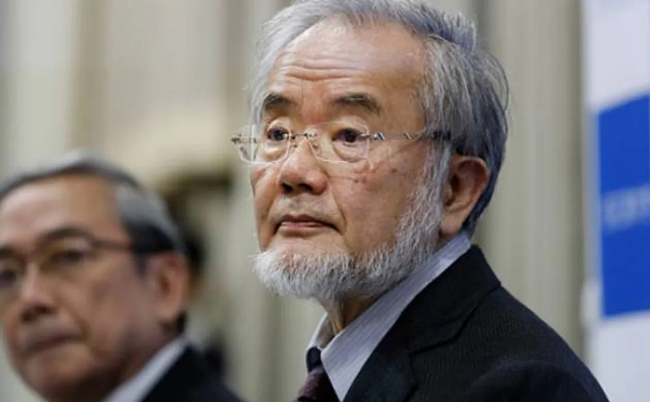 Who is Nobel medicine prize winner Yoshinori Ohsumi?