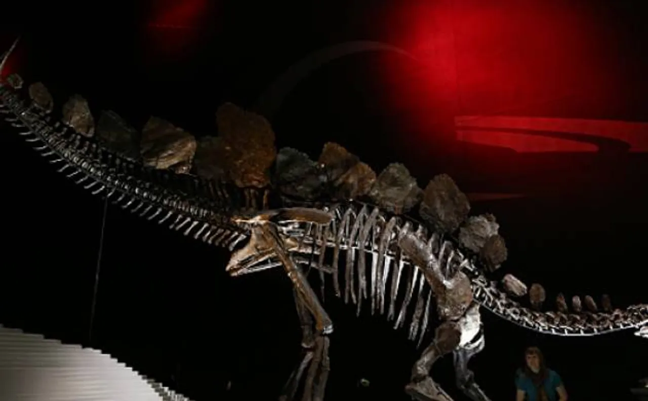 Scientists in Brazil discovers largest dinosaur fossil 