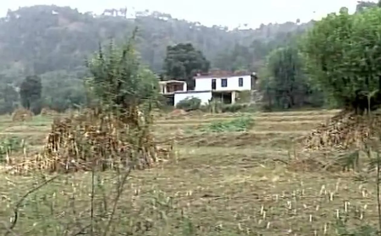 Watch: Pakistan violates ceasefire at Naushera sector in J&K, no causalities 