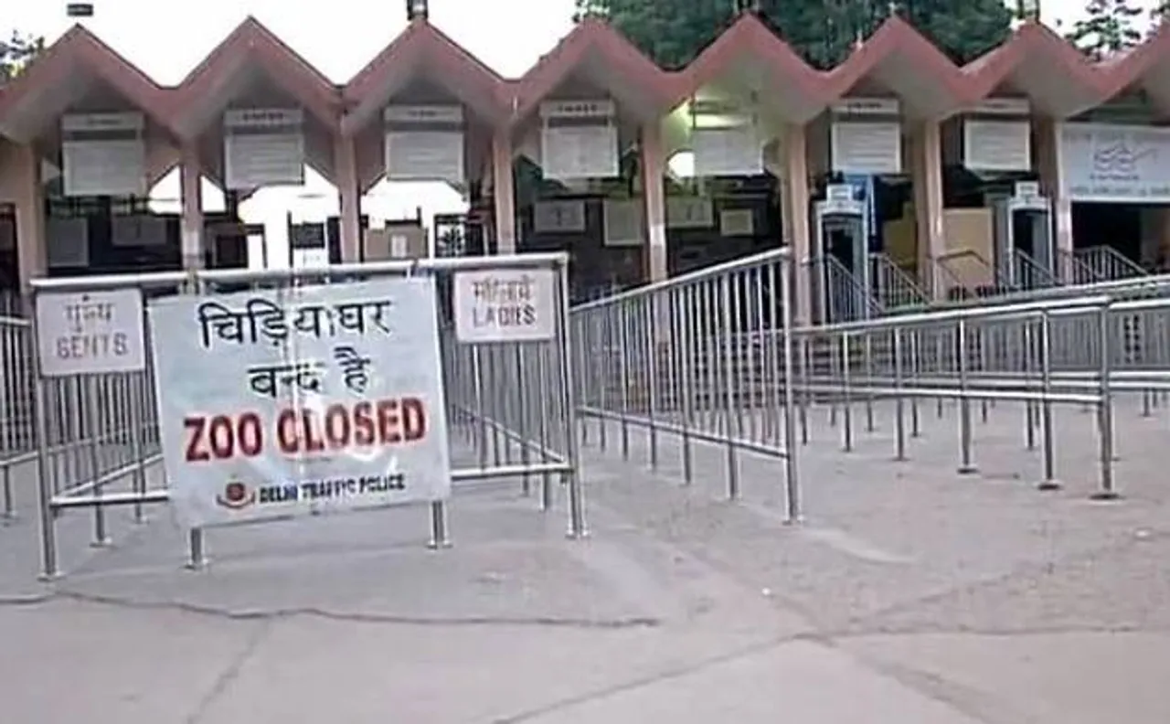 Bird flu scare: Delhi zoo remains temporarily closed, alert sounded in Gwalior after 8 birds die