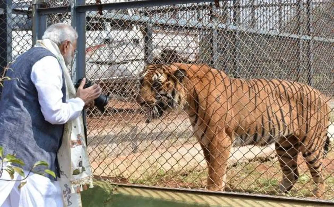 Watch: When Tiger struck a special pose for PM Narendra Modi