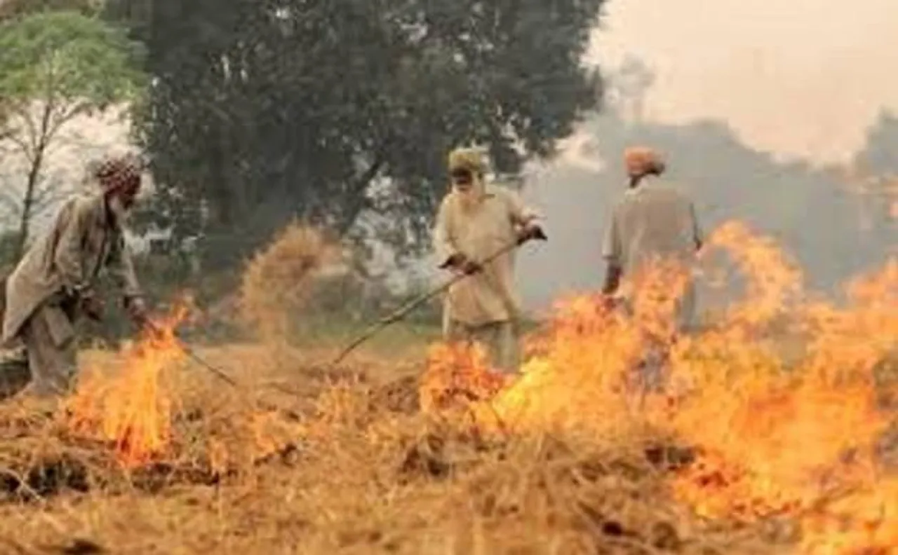 To curb smog, Gurugram bans burning of waste, garbage