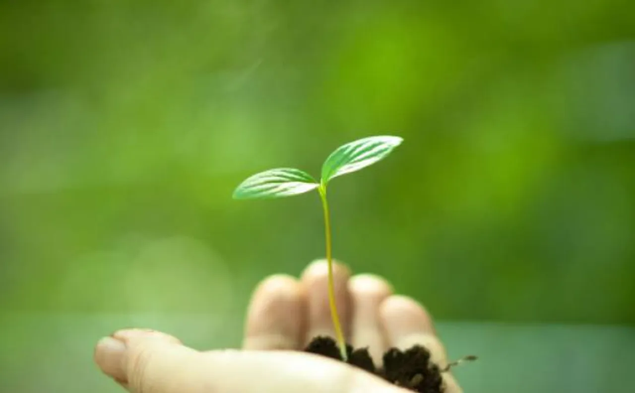 India's ranking improves in Climate Change Performance Index, stands at 20th position