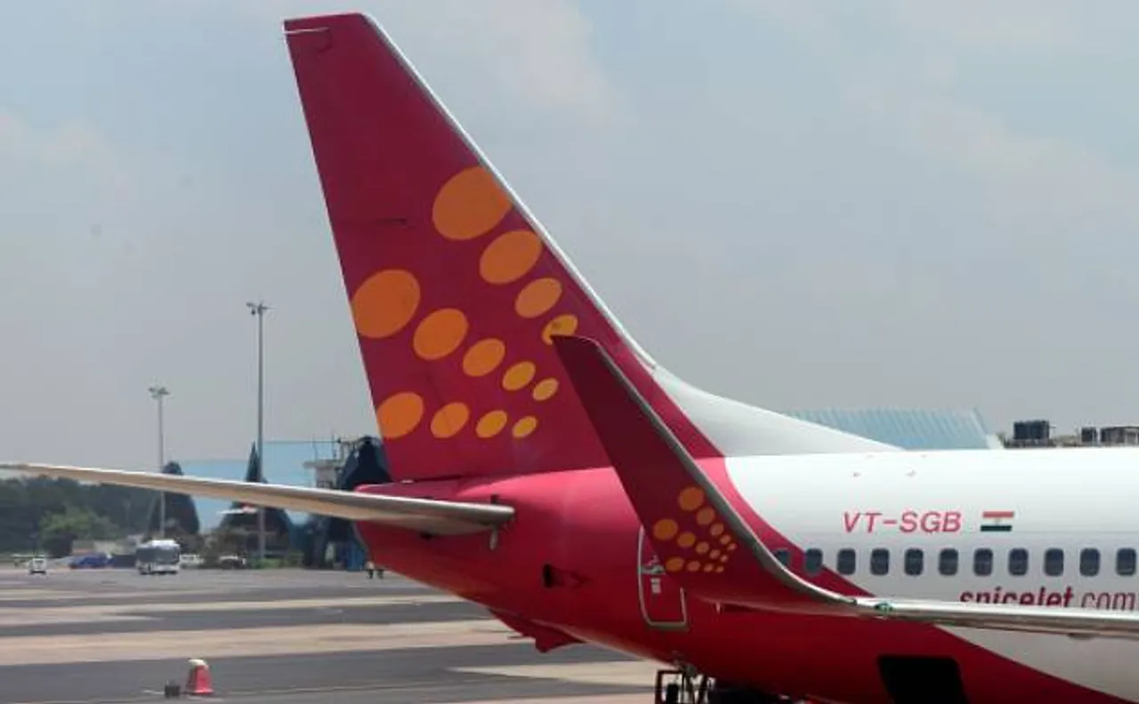 Chennai-bound SpiceJet plane from Ahmedabad aborts take off after spotting monkeys on runway
